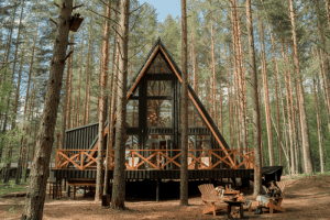 עץ אורן תרמי הבחירה פופולרית לייצור רהיטים