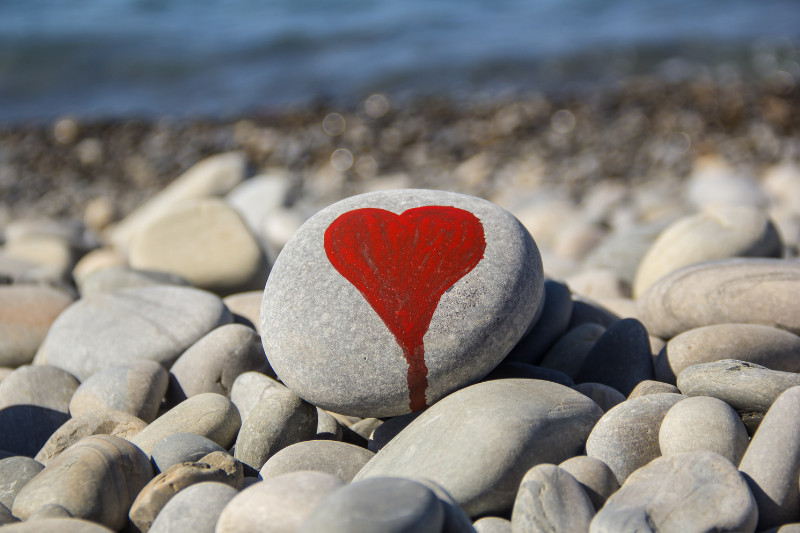 מסע לתשובה מהלב - המסע הרוחני לתשובה בתבונה מתחיל מהלב